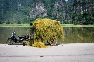 Vietnam - Fabien Garel