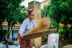 Vietnam - Fabien Garel