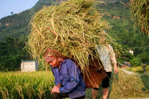 Vietnam - Fabien Garel