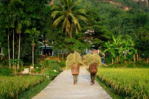 Vietnam - Fabien Garel