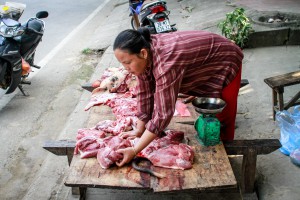 Vietnam - Fabien Garel